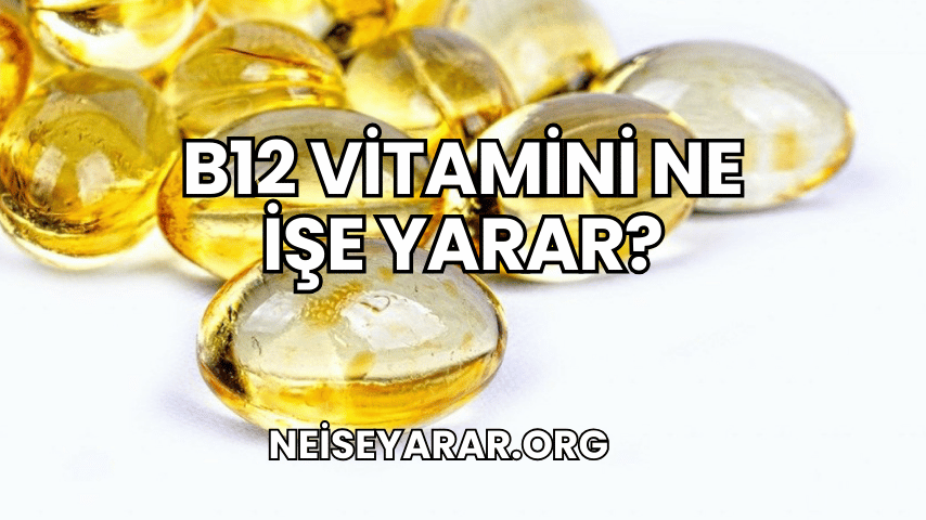 B12 Vitamini Ne İşe Yarar?