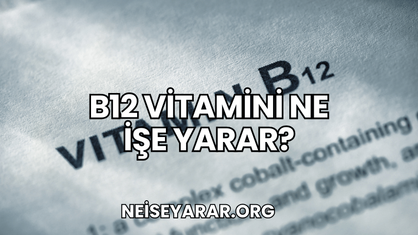 B12 Vitamini Ne İşe Yarar?