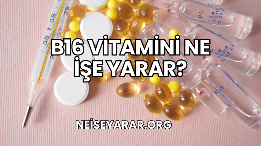 B16 Vitamini Ne İşe Yarar?