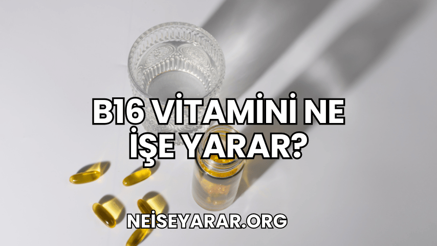 B16 Vitamini Ne İşe Yarar?