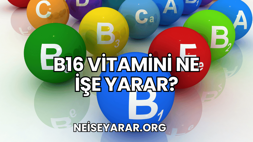 B16 Vitamini Ne İşe Yarar?