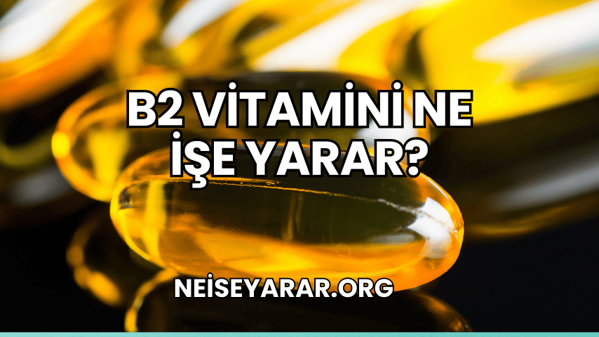 B2 Vitamini Ne İşe Yarar?