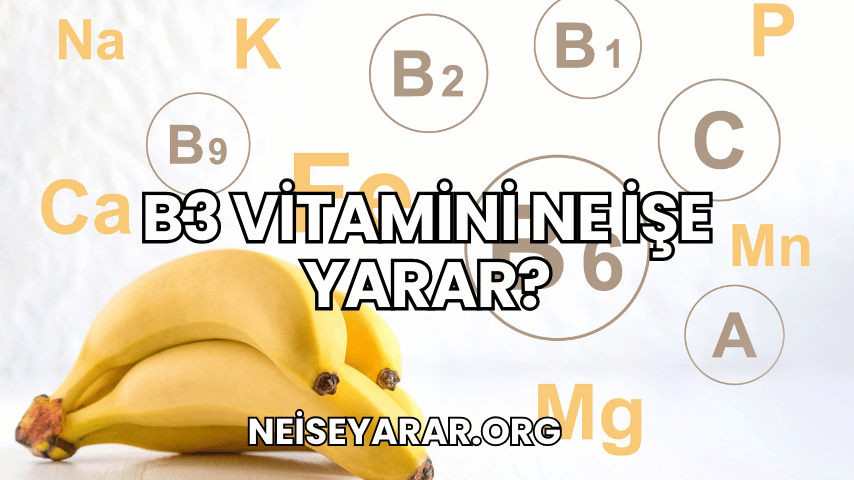 B3 Vitamini Ne İşe Yarar?