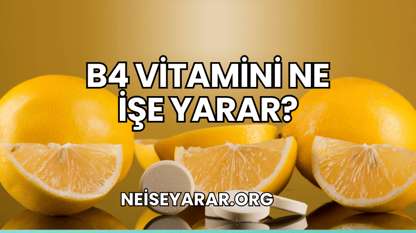 B4 Vitamini Ne İşe Yarar?