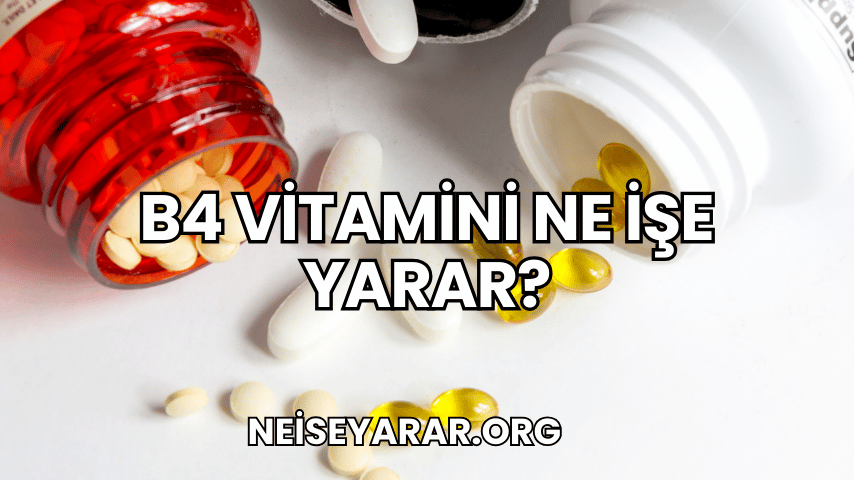 B4 Vitamini Ne İşe Yarar?