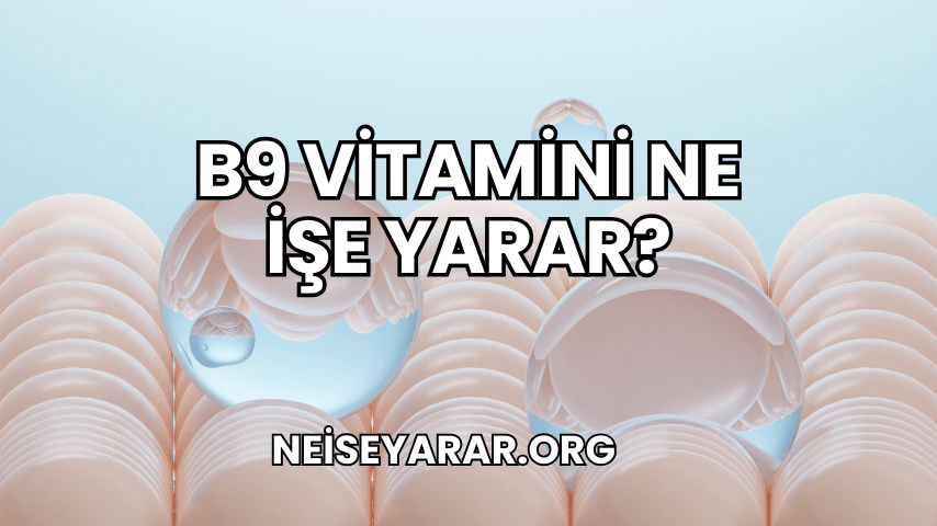 B9 Vitamini Ne İşe Yarar?