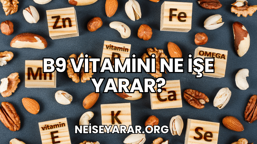 B9 Vitamini Ne İşe Yarar?