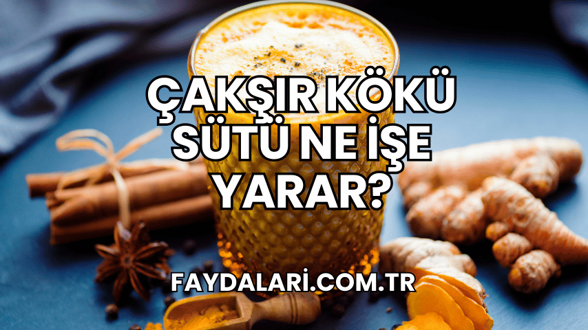 Çakşır Kökü Sütü Ne İşe Yarar?