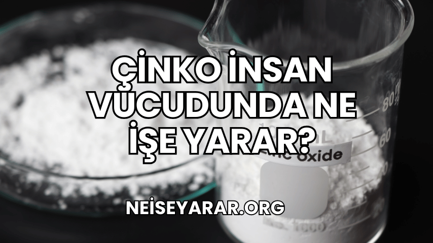 Çinko İnsan Vücudunda Ne İşe Yarar?