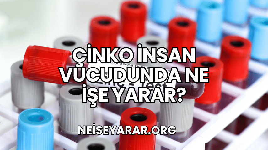 Çinko İnsan Vücudunda Ne İşe Yarar?