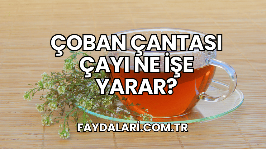 Çoban Çantası Çayı Ne İşe Yarar?