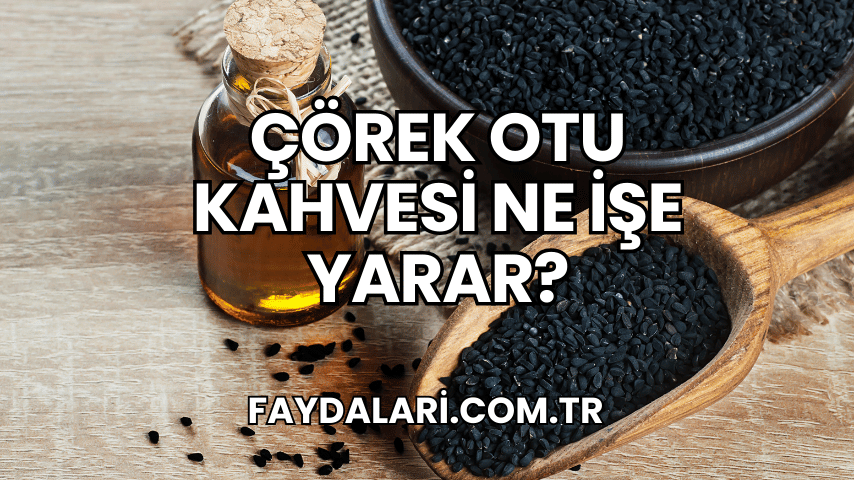 Çörek Otu Kahvesi Ne İşe Yarar?