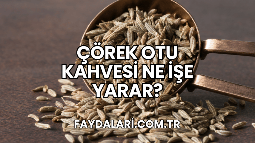 Çörek Otu Kahvesi Ne İşe Yarar?