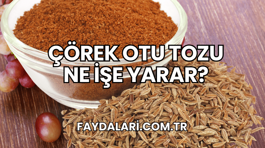 Çörek Otu Tozu Ne İşe Yarar?