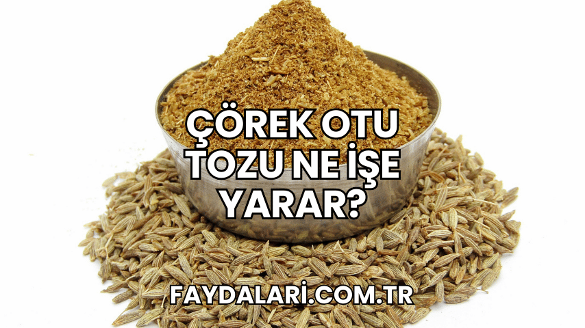 Çörek Otu Tozu Ne İşe Yarar?