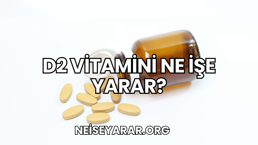 D2 Vitamini Ne İşe Yarar?