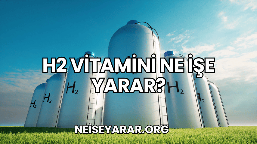 H2 Vitamini Ne İşe Yarar?