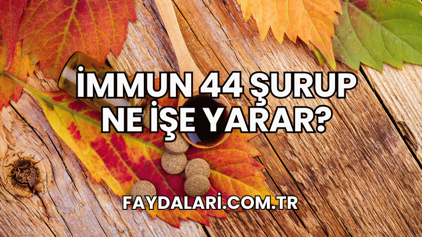 İmmun 44 Şurup Ne İşe Yarar?