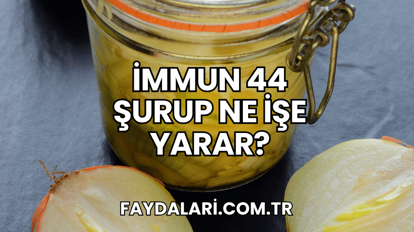 İmmun 44 Şurup Ne İşe Yarar?