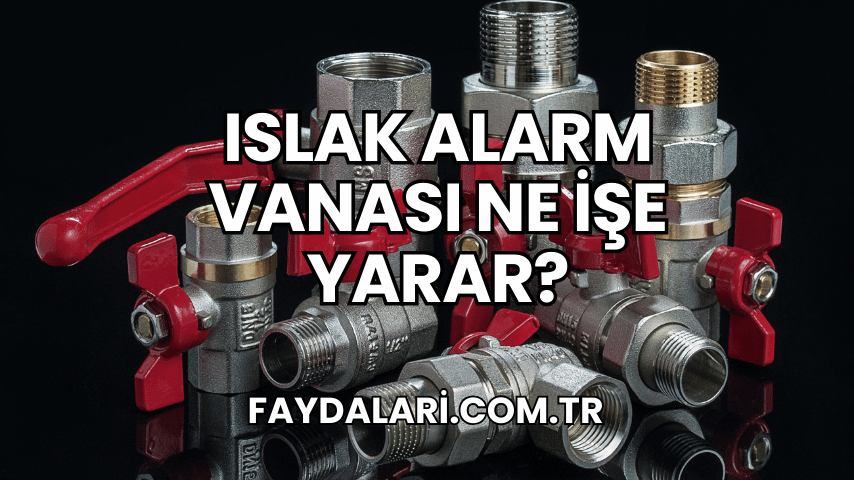 Islak Alarm Vanası Ne İşe Yarar?