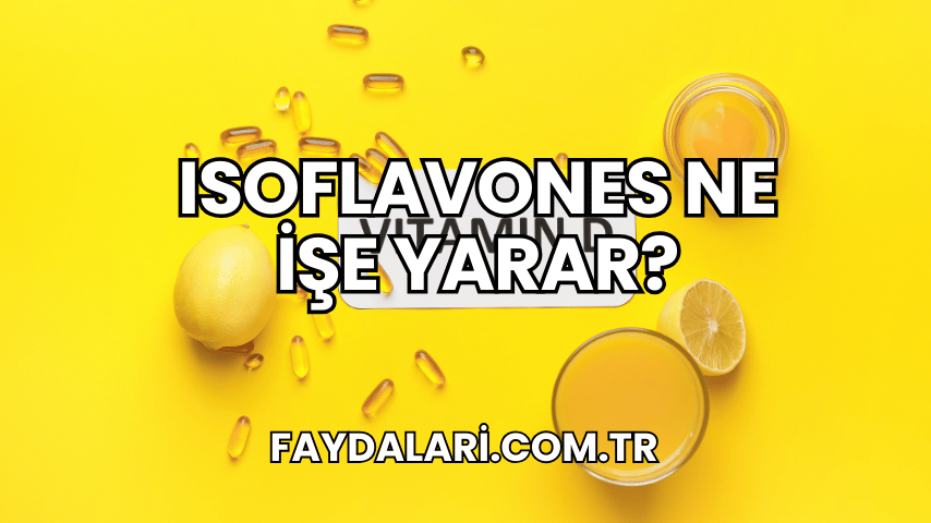 Isoflavones Ne İşe Yarar?