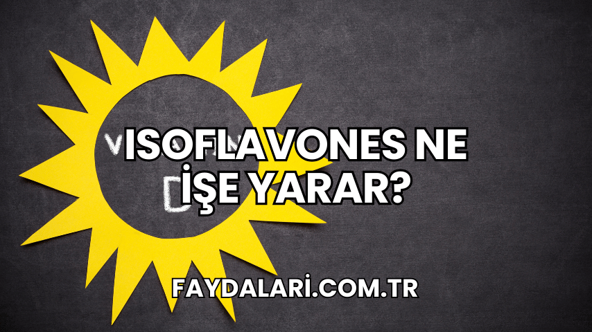 Isoflavones Ne İşe Yarar?