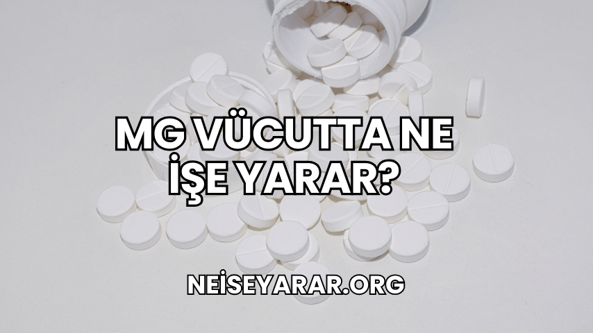 Mg Vücutta Ne İşe Yarar