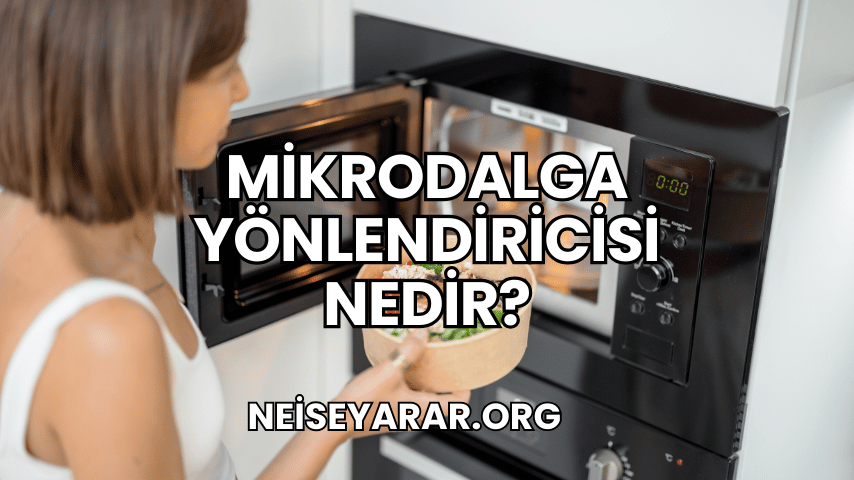 Mikrodalga Yönlendiricisi Nedir?