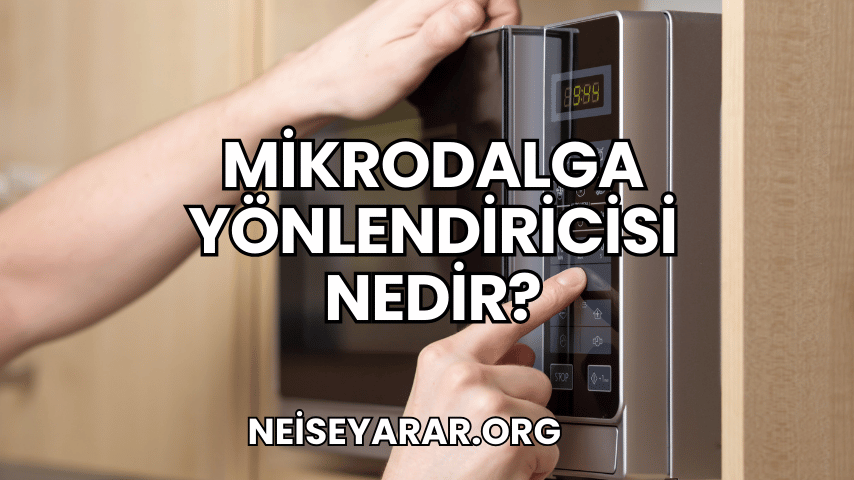 Mikrodalga Yönlendiricisi Nedir?