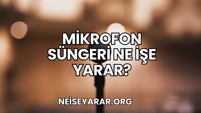 Mikrofon Süngeri Ne İşe Yarar