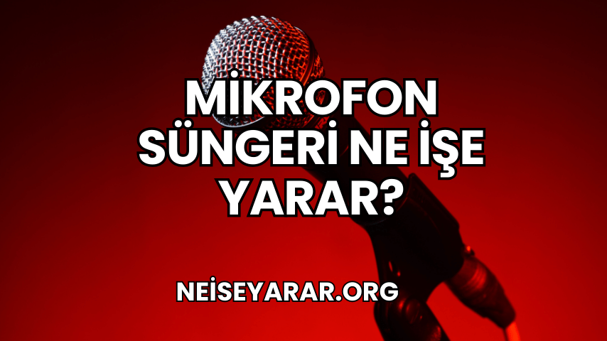 Mikrofon Süngeri Ne İşe Yarar