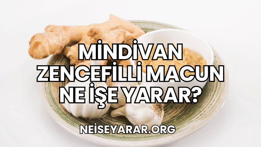 Mindivan Zencefilli Macun Ne İşe Yarar?