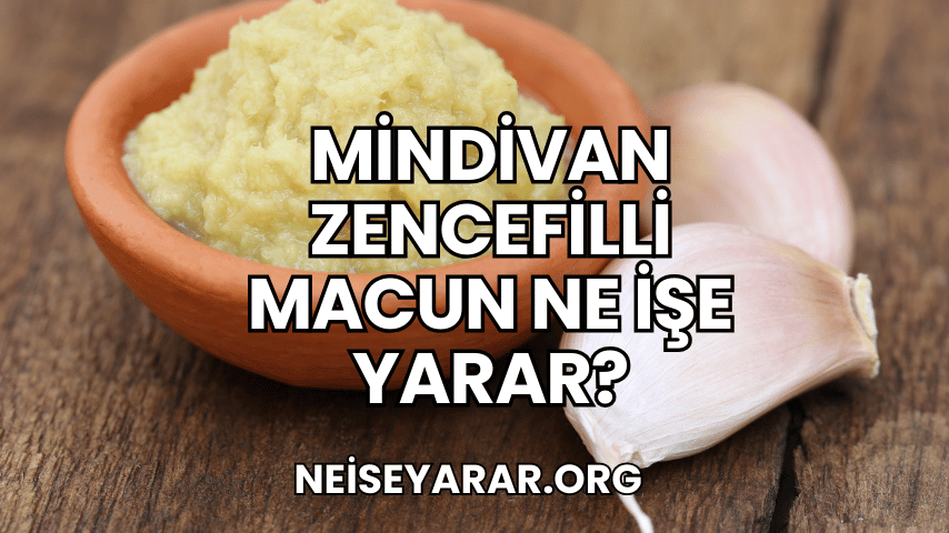 Mindivan Zencefilli Macun Ne İşe Yarar?