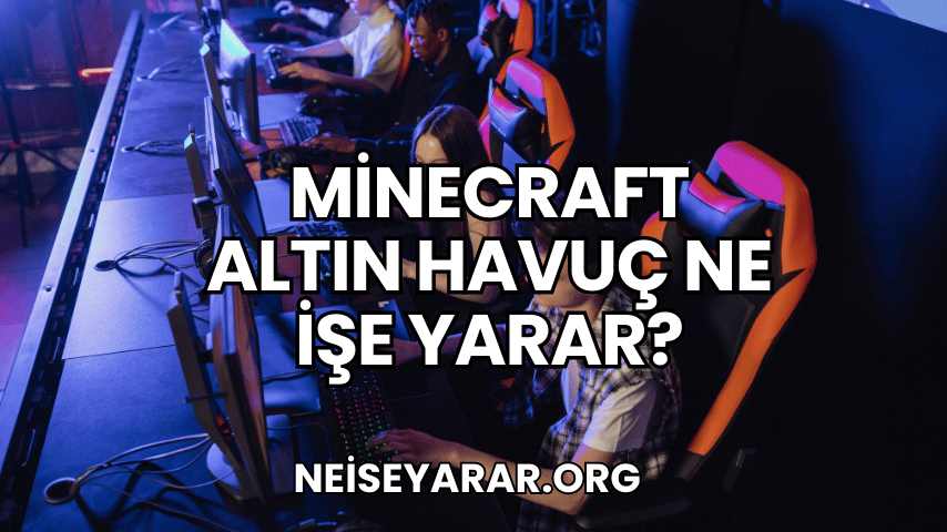 Minecraft Altın Havuç Ne İşe Yarar?