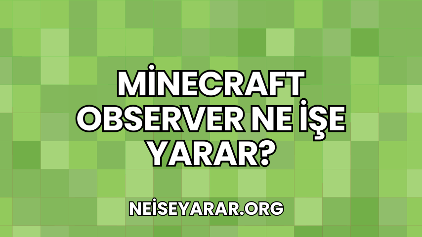 Minecraft Observer Ne İşe Yarar?