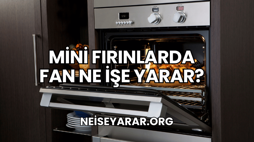 Mini Fırınlarda Fan Ne İşe Yarar?