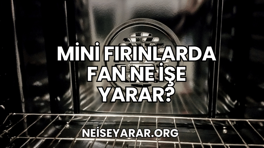 Mini Fırınlarda Fan Ne İşe Yarar?