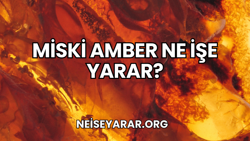 Miski Amber Ne İşe Yarar?