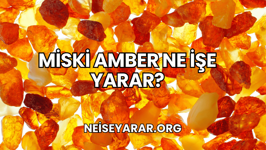 Miski Amber Ne İşe Yarar?