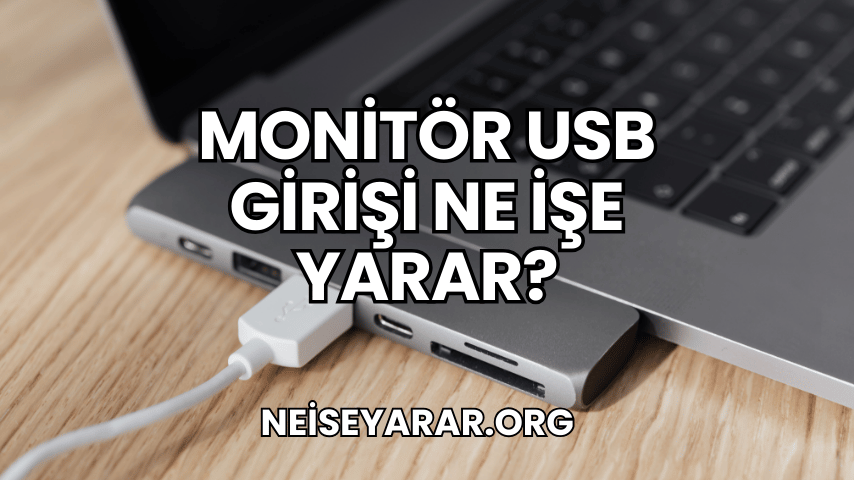 Monitör USB Girişi Ne İşe Yarar?