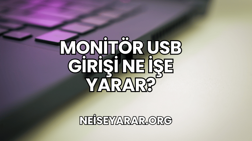 Monitör USB Girişi Ne İşe Yarar?