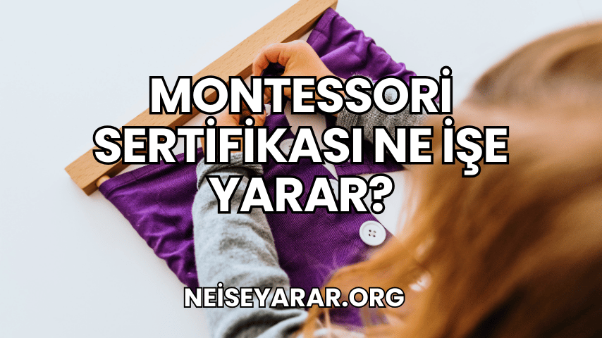 Montessori Sertifikası Ne İşe Yarar?