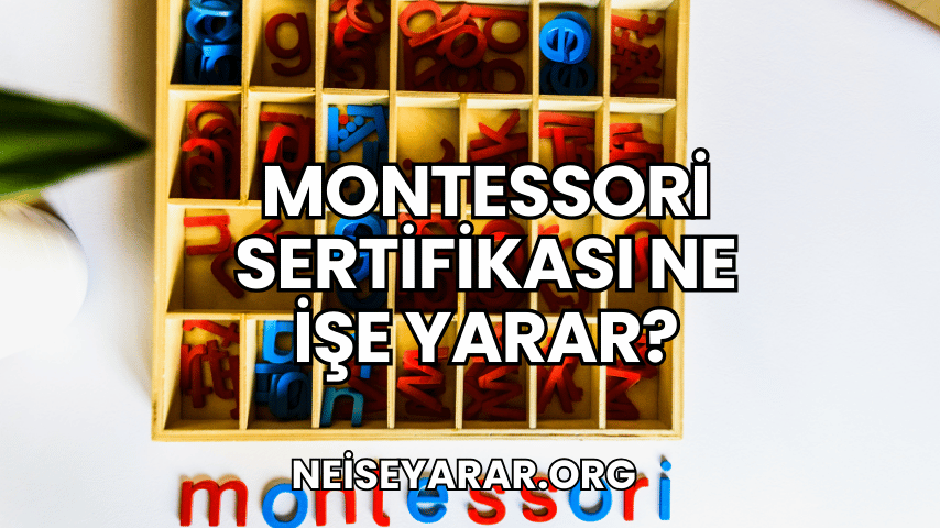 Montessori Sertifikası Ne İşe Yarar?