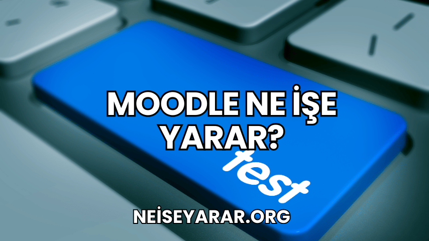 Moodle Ne İşe Yarar