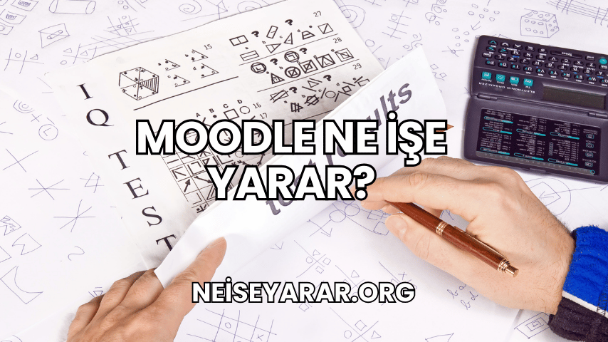 Moodle Ne İşe Yarar