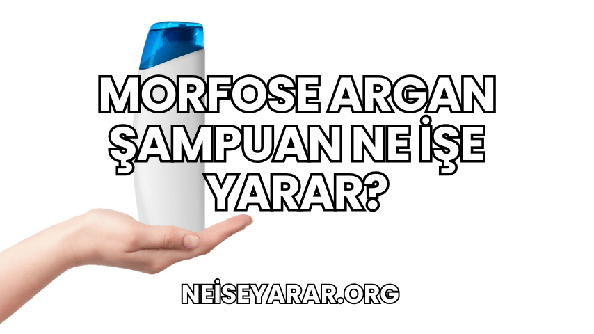 Morfose Argan Şampuan Ne İşe Yarar?