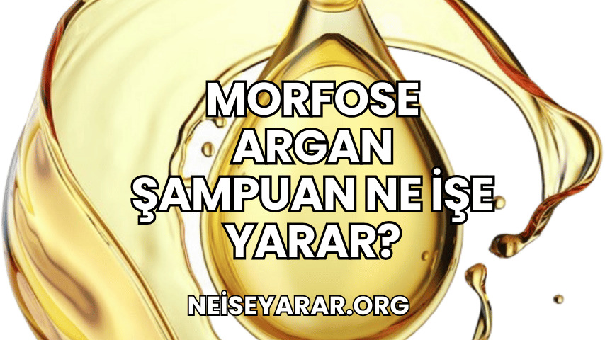 Morfose Argan Şampuan Ne İşe Yarar?