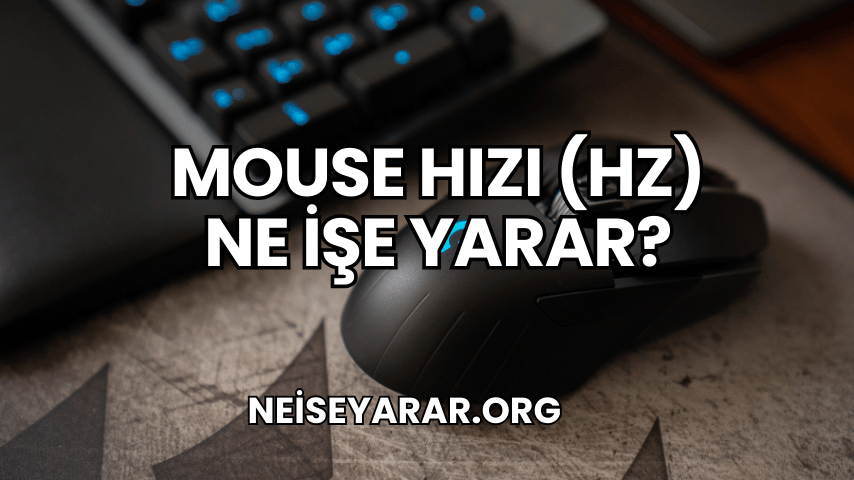 Mouse Hızı (Hz) Ne İşe Yarar