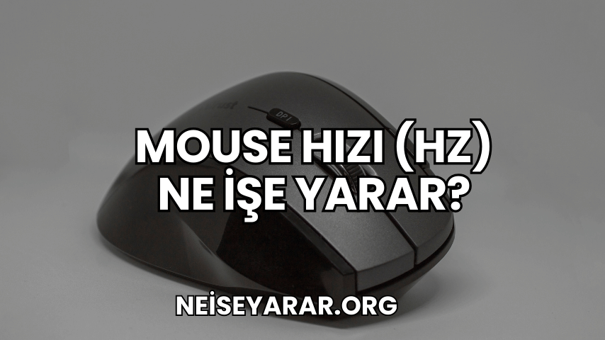 Mouse Hızı (Hz) Ne İşe Yarar