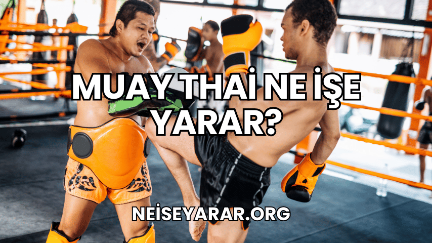 Muay Thai Ne İşe Yarar